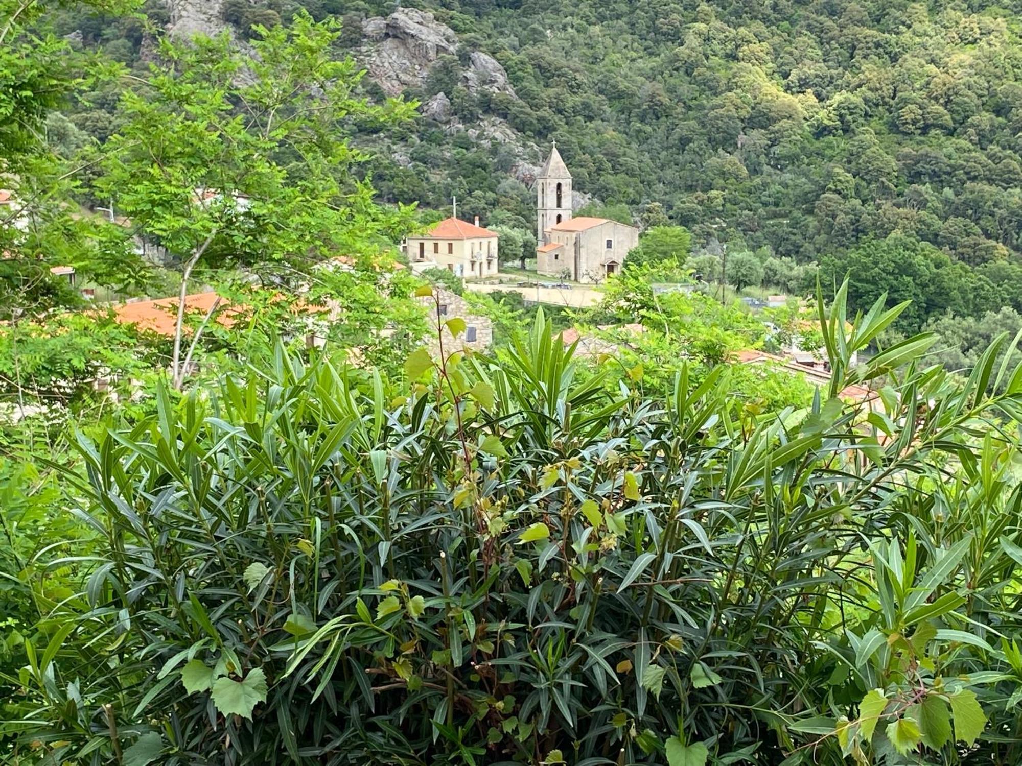 Casa Versini Balogna Exteriér fotografie